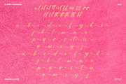 Bitteva Script - Classy Script Font, a Script Font by Dhabee (Thumbnail 7 of 16)