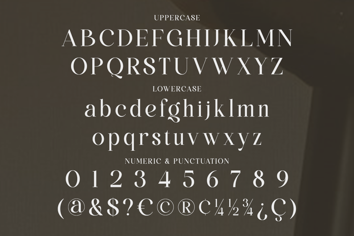 Bilgafe - Elegant Luxury Serif Font, a Serif Font by Qweera Studio (Photo 12 of 12)