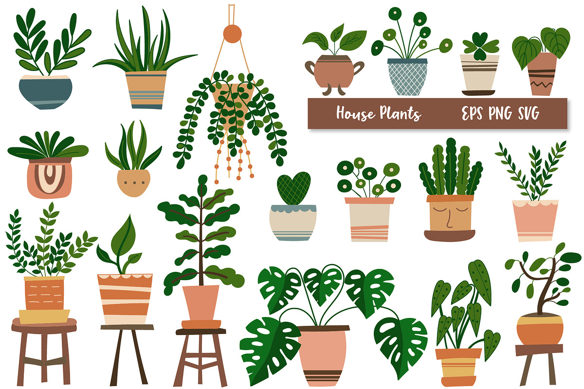 Big Shop Bundle - Graphics, Patterns, an Animal Illustration by DearLetters (Photo 20 of 23)