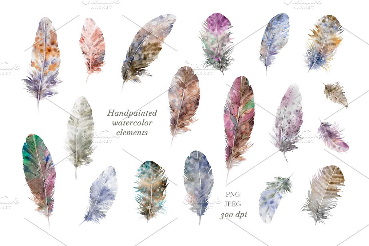 Watercolour Feathers Collection., a Decorative Illustration by VetaDesign (Photo 2 of 8)