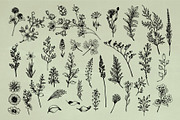 Vintage Herbs & Flowers mega set, an Object Illustration by Garden in frame (Thumbnail 4 of 8)