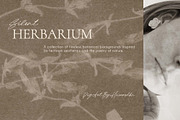 Silent Herbarium Botanical Textures, a Background Graphic by DigARTbyHavroshka (Thumbnail 11 of 11)