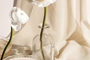 AIRY Watercolor Spring Collection, a Decorative Illustration by Muse Artist (Thumbnail 9 of 18)