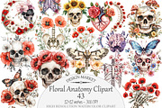 Watercolor Floral Anatomy Clipart, a Seasonal Illustration by Design Market (Thumbnail 1 of 5)
