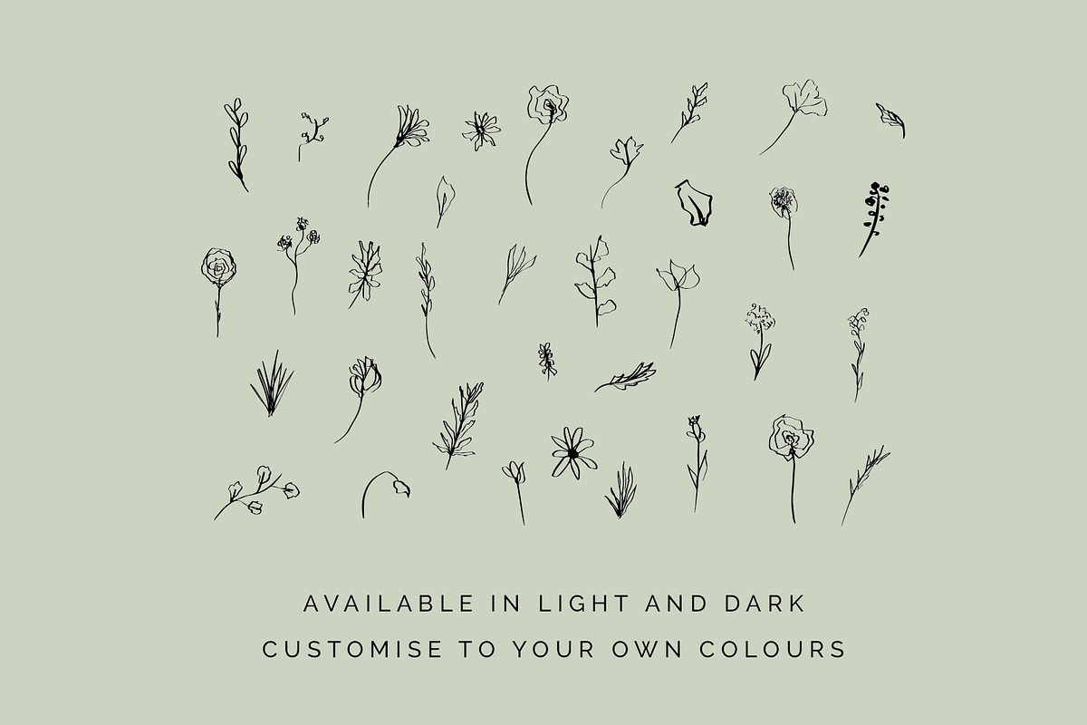 Floral Botanical Plant Illustrations, an Icon by CreativeWilderness (Photo 4 of 11)