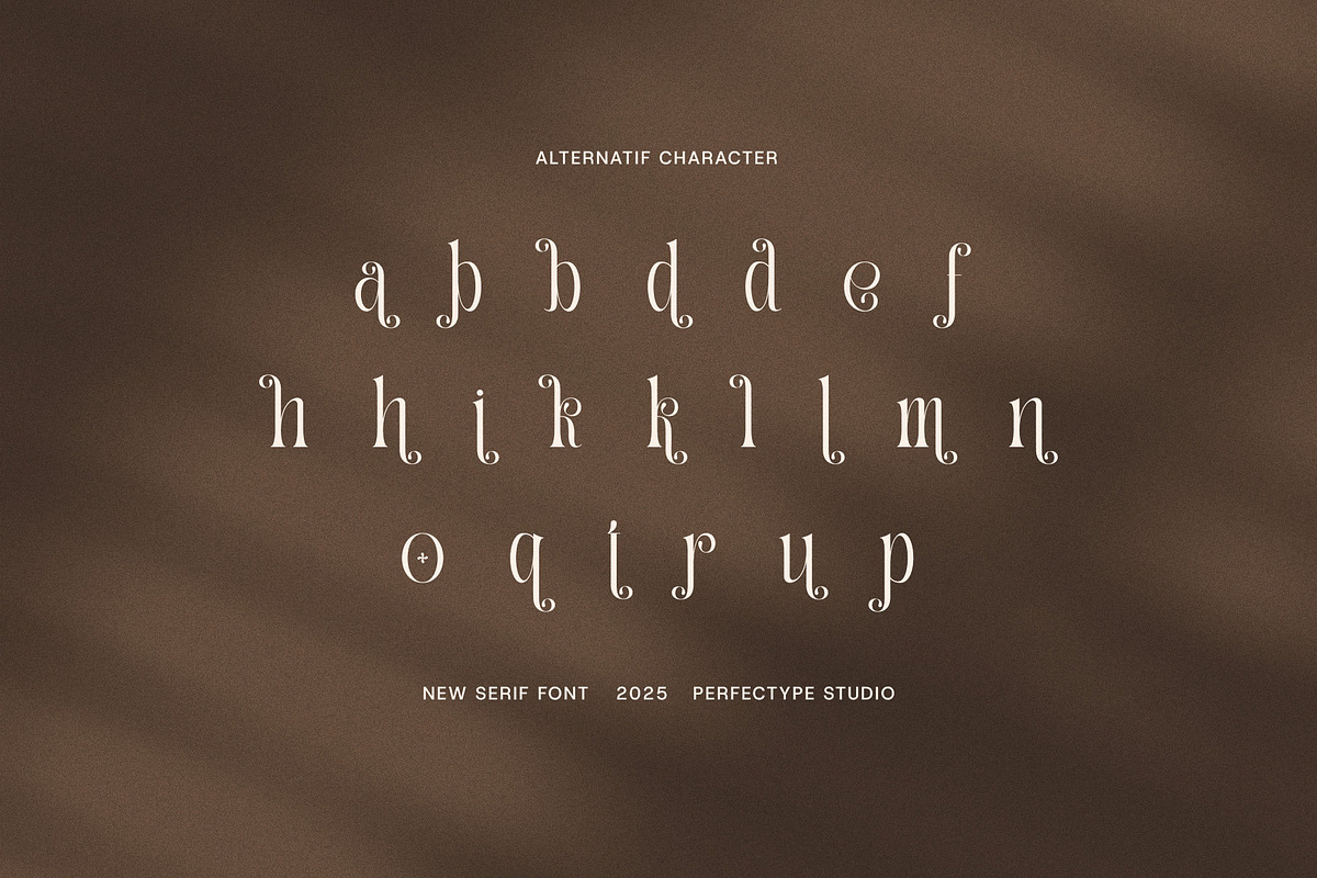Salmon Elegant Serif Font, a Serif Font by Perfectype (Photo 8 of 8)