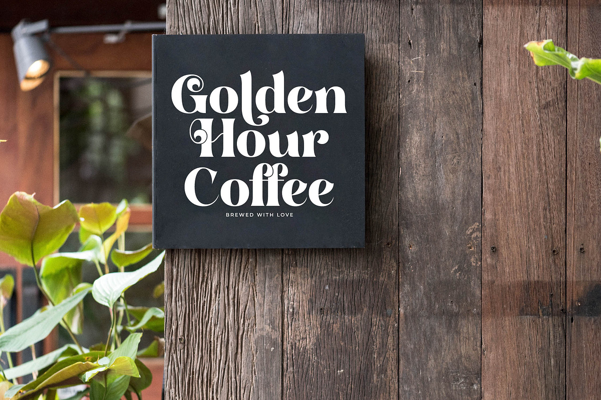 Master Gedon Modern Bold Serif, a Serif Font by timelesstype.co (Photo 10 of 19)