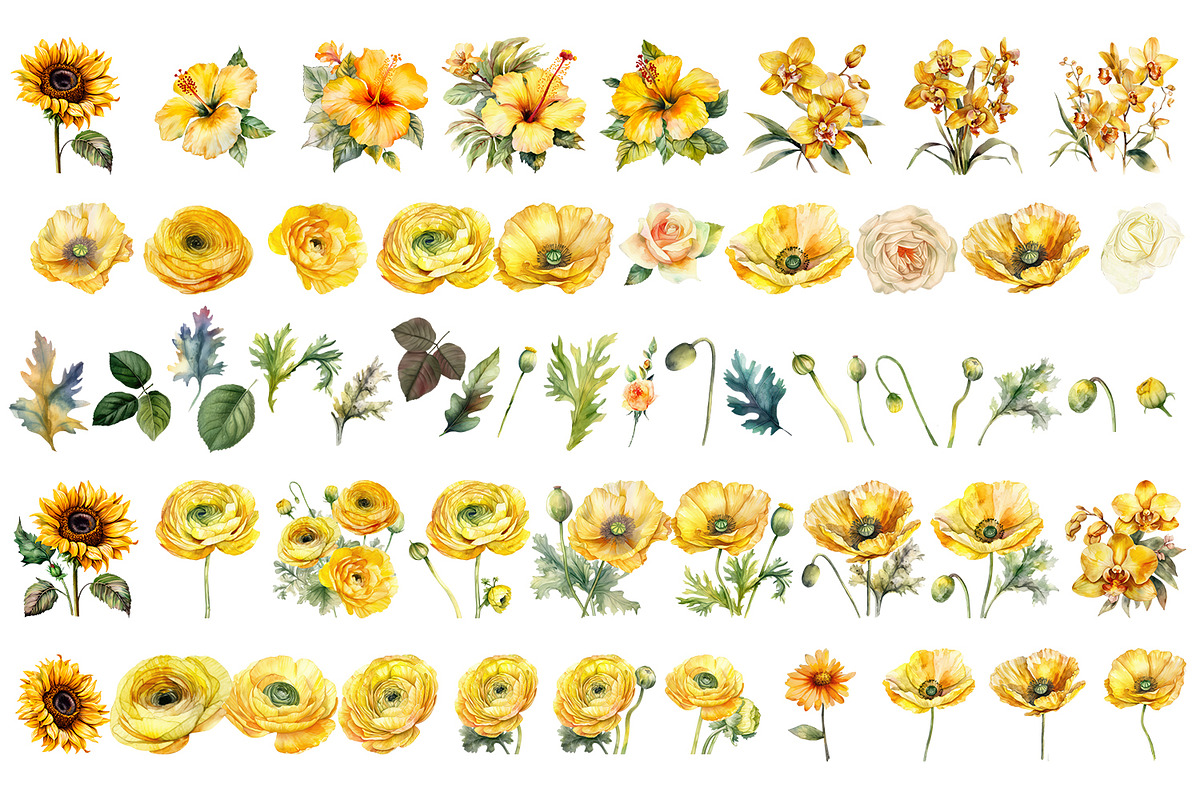 Yellow flower. Watercolor clipart, a Decorative Illustration by ElenazlataArt (Photo 2 of 9)