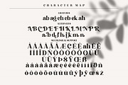 Hochagi Classy Serif Font, a Script Font by Storytype Studio (Thumbnail 8 of 9)