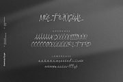 Alberta Signature Script, a Script Font by FactoryType Studio (Thumbnail 6 of 10)