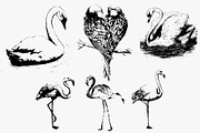 Birds set vector. Silhouette images, an Animal Illustration by AnastasiyaOleynik (Thumbnail 8 of 8)