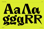Dx Gaster + Italic, a Serif Font by Dirtyline Studio (Thumbnail 8 of 11)