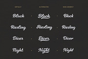 Tilda Script — stylish font family, a Script Font by Roman Polishchuk (Thumbnail 4 of 6)