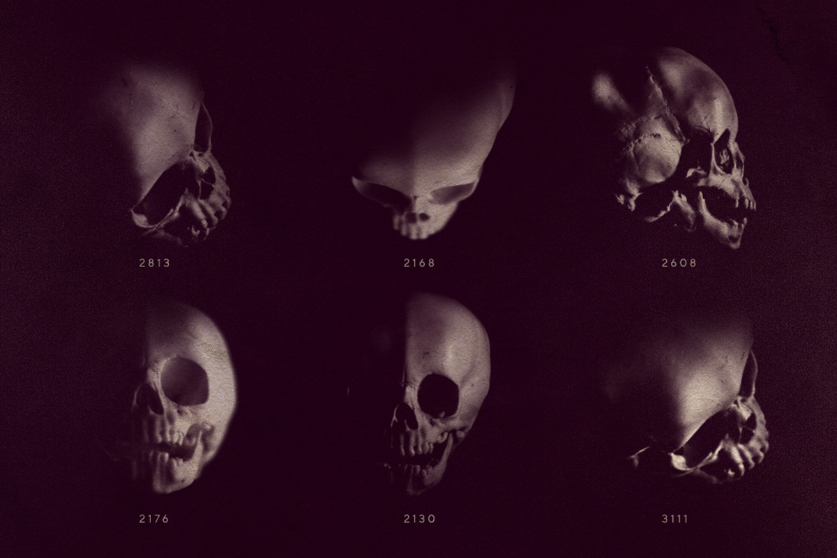 Skull Brushes, a Brush Add-On by RuleByArt (Photo 10 of 10)