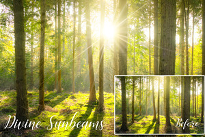 Radiant Light Overlays