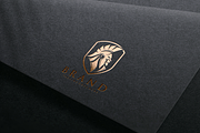 Golden Spartan Lion Crest Logo, a Branding & Logo Template by VectorCrow (Thumbnail 6 of 6)