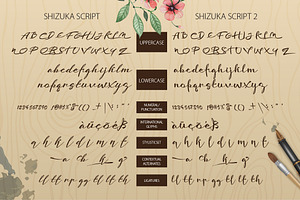 Shizuka Brush Script