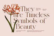 Siglera Elegant Serif Font, a Serif Font by Elegant Font (Thumbnail 3 of 8)