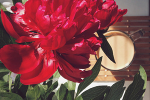 Hot coffee and flowers