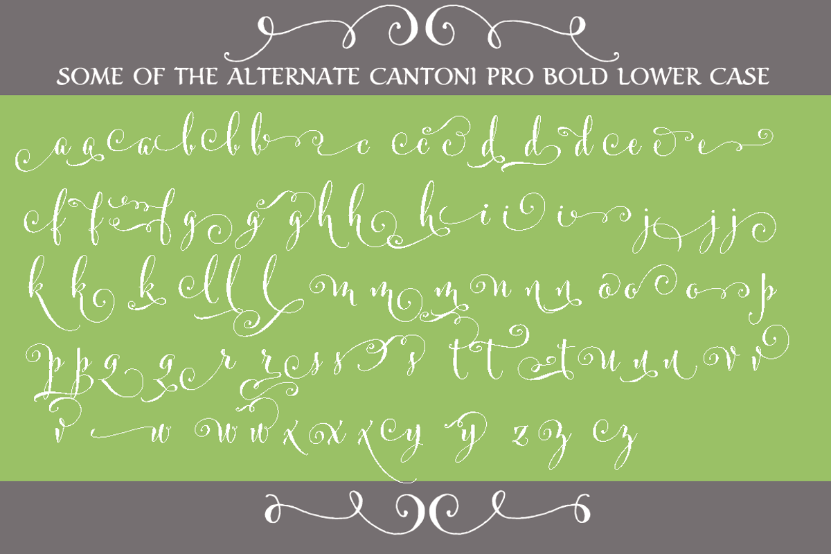 Cantoni Pro Bold Font preview 3