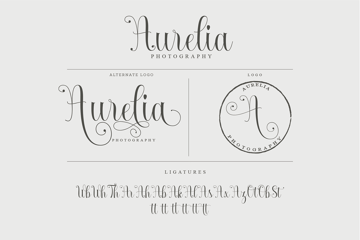 Absolut, a Script Font by Deniz86 (Photo 6 of 9)
