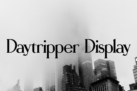 Daytripper Display | Dramatic Serif, a Serif Font by wendyleftmealone
