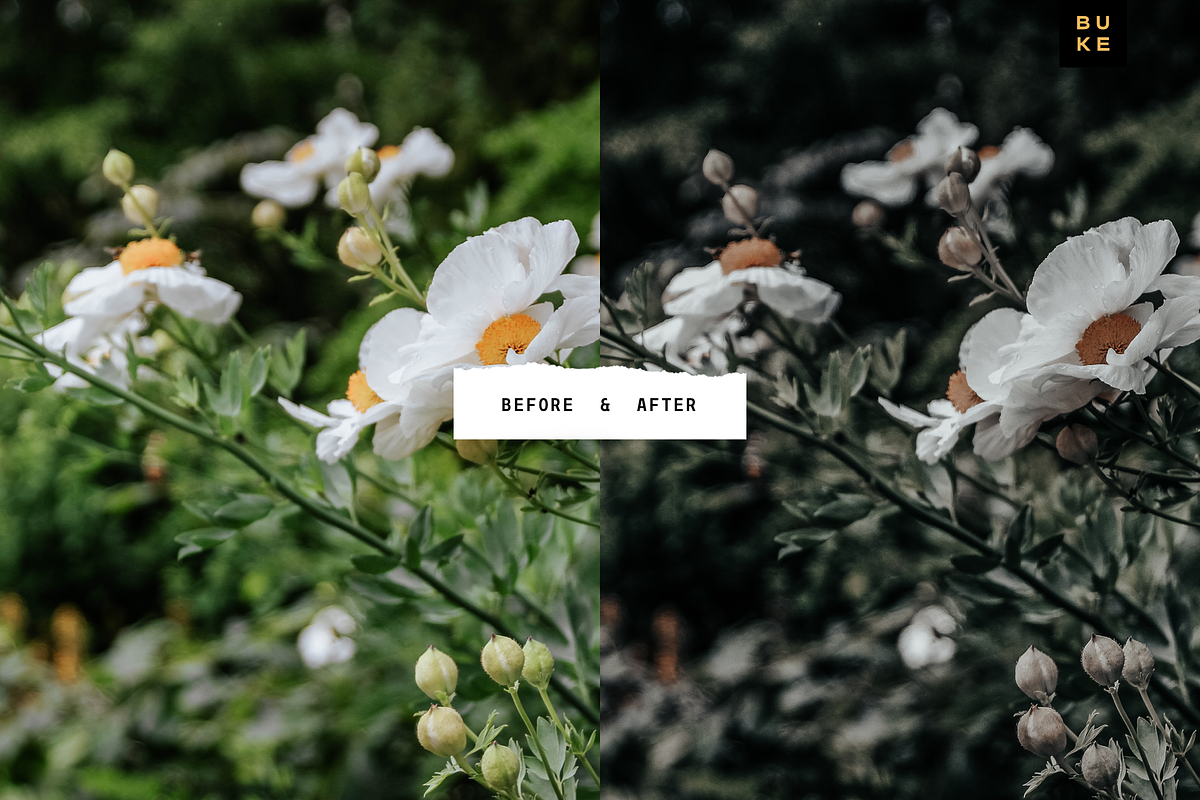 Amberland Edition Lightroom Preset, a Preset Add-On by SHOOM HOUSE (Photo 5 of 8)