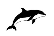 Dolphin Jumping Silhouette Vector, an Illustration by Designs_River (Thumbnail 5 of 51)