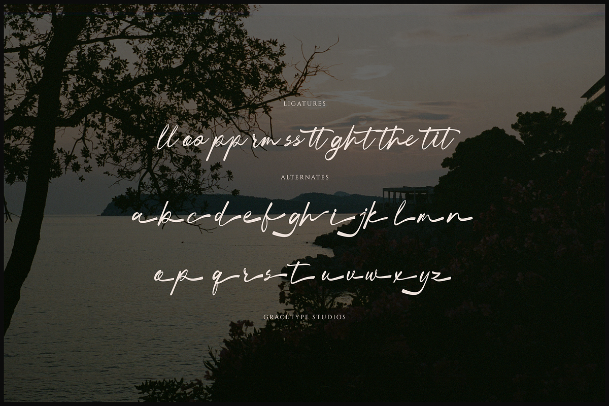 Dialetika | Handwritten Script, a Script Font by gracetype_studio (Photo 12 of 12)