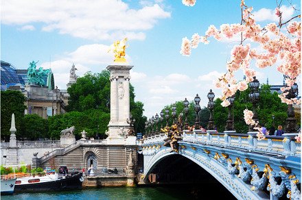 Bridge of Alexandre III in Paris, an Architecture Photo by Neirfy