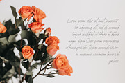 Westavia Handwriting Font, a Script Font by NTC Graphic (Thumbnail 4 of 7)