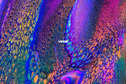 Veer: Abstract Paint Textures, a Texture Graphic by Chroma Supply (Thumbnail 8 of 15)