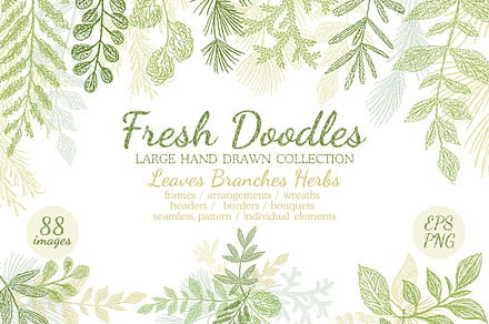 Leaves Branches & Herbs Fresh Doodle