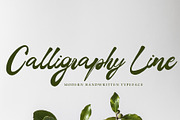 Skaner Bold, a Script Font by pineungtype (Thumbnail 4 of 6)