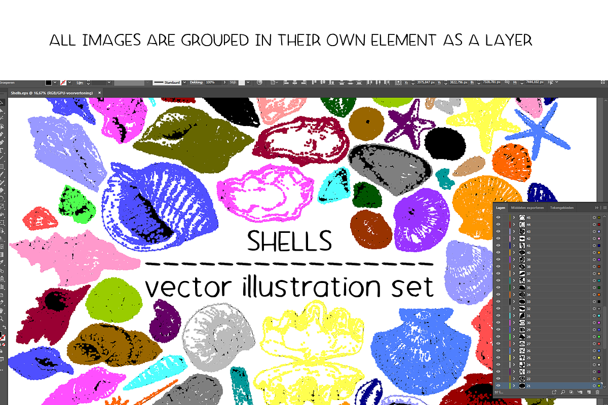Shells - vector illustration set, an Animal Illustration by Renée from Studio neetje (Photo 3 of 4)