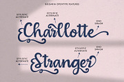 Bulgaria - Modern Calligraphy Font, a Script Font by StringLabs (Thumbnail 3 of 13)
