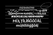 VERMON Scribbel, a Serif Font by Reza Studio (Thumbnail 8 of 10)