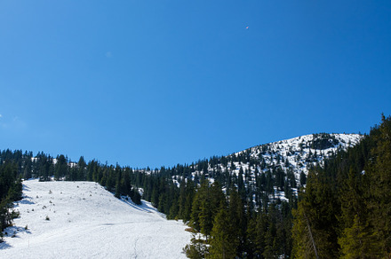 Snow-covered landscape