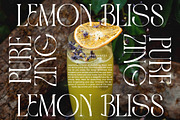 Havens Brooke Editorial Serif, a Serif Font by timelesstype.co (Thumbnail 10 of 20)