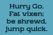 CS Blanco Drawn, a Slab Serif Font by Craft Supply Co. (Thumbnail 6 of 8)