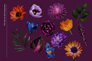 Isolated real flowers clipart set, an Object Graphic by The Graphic Parade (Thumbnail 5 of 14)
