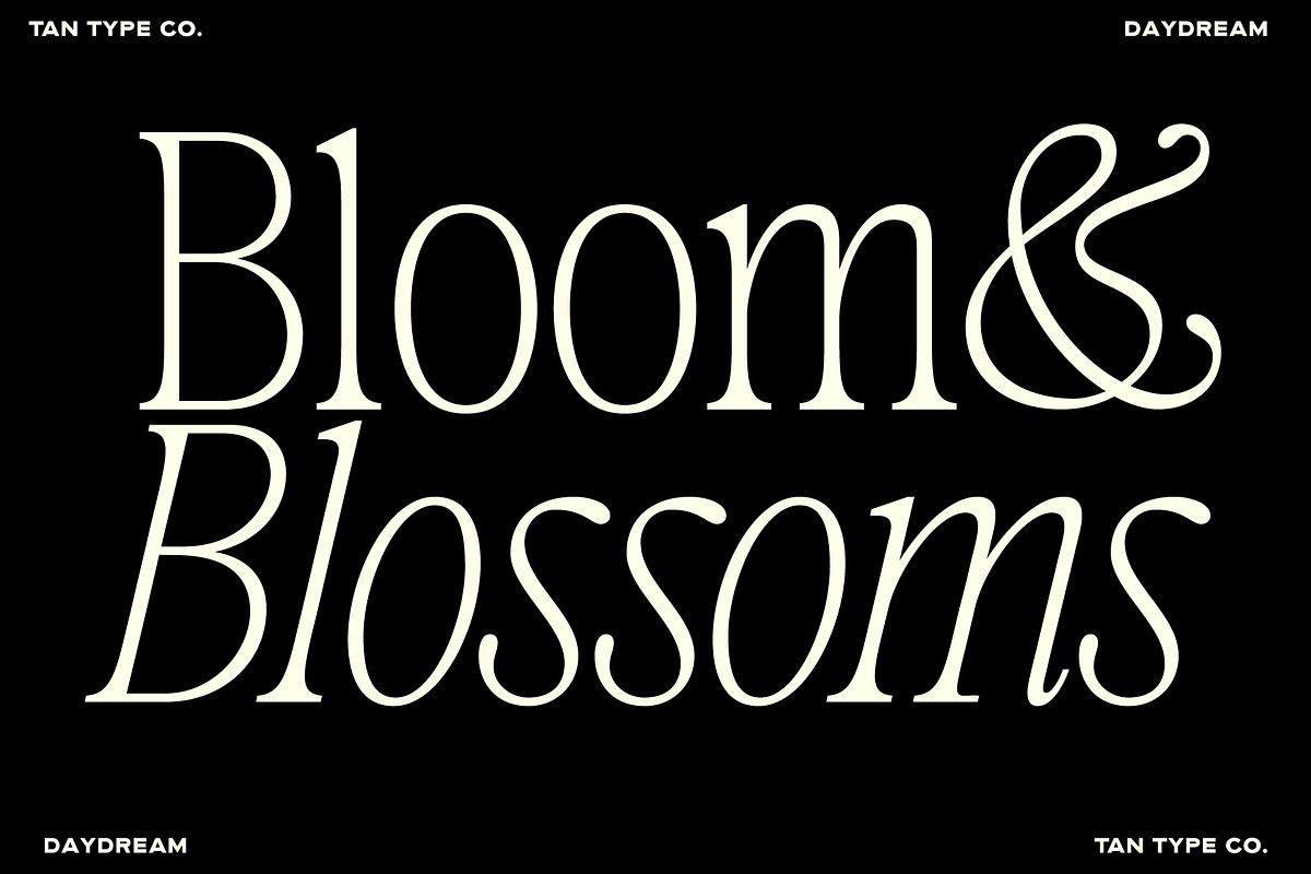 TAN-MIDSUMMER- DUO FONT, a Serif Font by TanType (Photo 3 of 10)