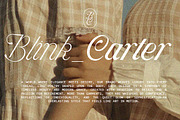 Hottest Springs Typeface, a Script Font by Letter Fresh (Thumbnail 11 of 12)