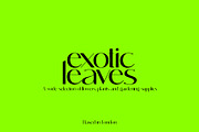 Cottage - Modern Sans Serif, a Sans Serif Font by subkulturetype (Thumbnail 6 of 8)