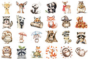 Cute Funny Woodland Animals Clipart, an Illustration by Sublimation Artist (Thumbnail 2 of 6)