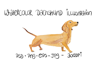 Dachshund Dog Illustration