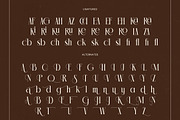 Chazero Modern Alternate Serif, a Serif Font by timelesstype.co (Thumbnail 18 of 20)