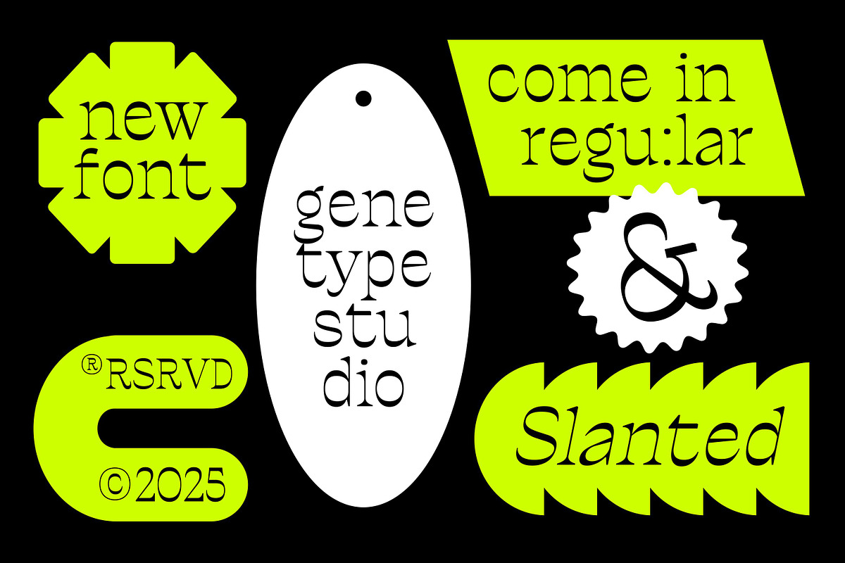 Ronders Reverse Contrast Font, a Serif Font by Genetype (Photo 7 of 10)