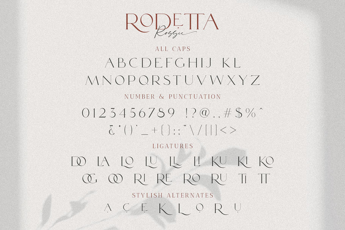 Rodetta Rossie Font Duo + Logos, a Serif Font by BrandSemut (Photo 17 of 18)