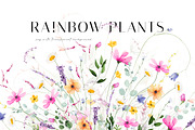 RAINBOW PLANTS bright flower set, a Decorative Illustration by Khrys.art (Thumbnail 1 of 13)